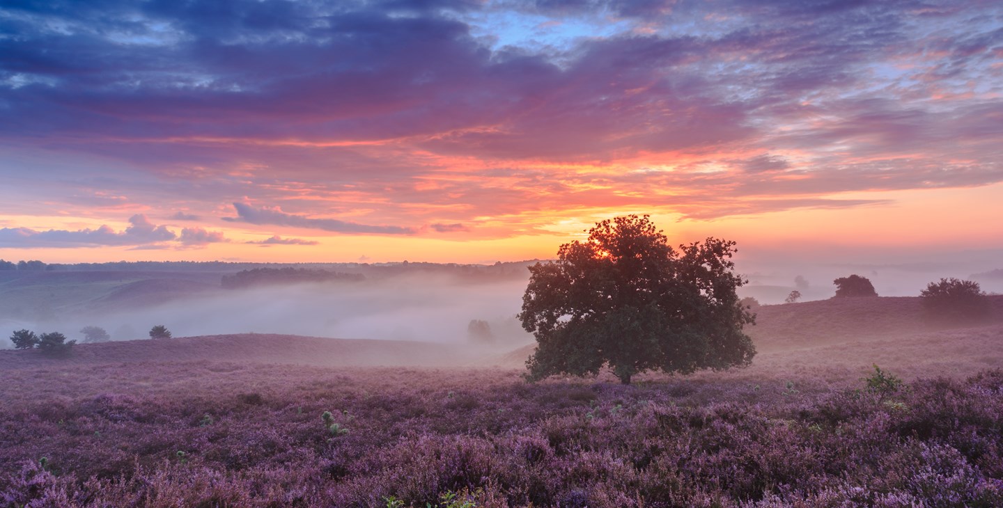 Kuyichi_Dutch_places_to_unwind_Veluwe